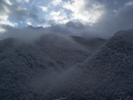  Image name: molino 2008 pasqua 020.jpg 
 width: 425 pixel 
 height: 319 pixel 
 Size: 91418 bytes 
 Click to enlarge 